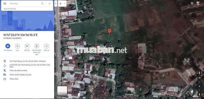 Chính chủ cần bán đất Tân Thạnh Đông (Gia hạn sử dụng đất tới 2075)