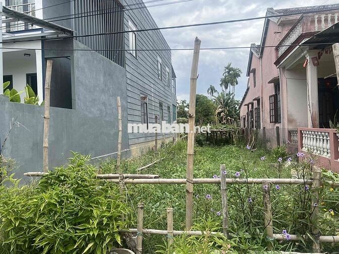 Bán đất 164 m2 hẻm xe hơi đường cửa đại