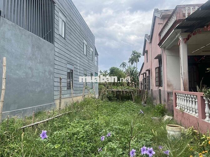 Bán đất 164 m2 hẻm xe hơi đường cửa đại