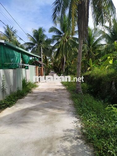 Đất trồng cây lâu năm, diện tích 1500m2 (500m2 x 3 sổ 3 lô liền kề)