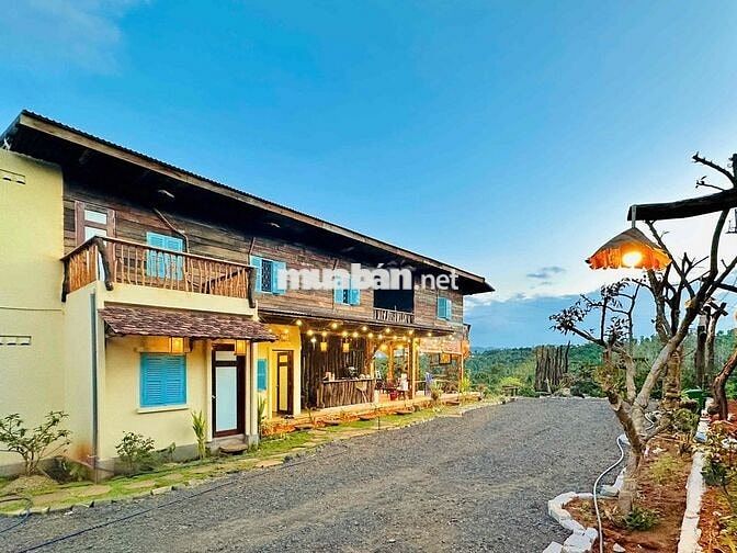Nhà vườn nghỉ dưỡng đất 2ha ôm suối chính chủ cần tiền bán lỗ!
