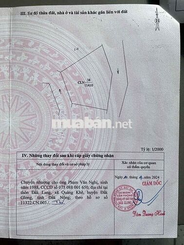 Nhà vườn nghỉ dưỡng đất 2ha ôm suối chính chủ cần tiền bán lỗ!