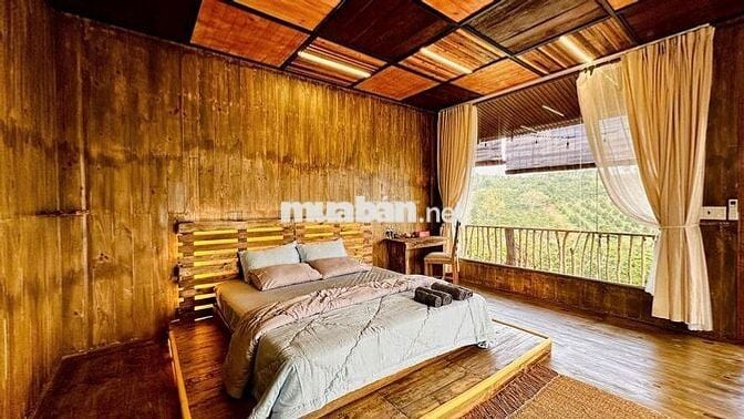 Nhà vườn nghỉ dưỡng đất 2ha ôm suối chính chủ cần tiền bán lỗ!