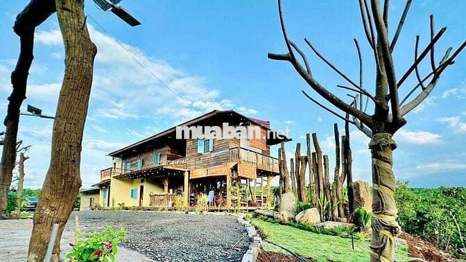 Nhà vườn nghỉ dưỡng đất 2ha ôm suối chính chủ cần tiền bán lỗ!