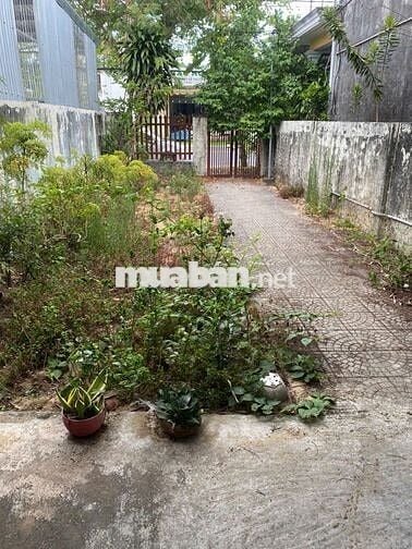 NHÀ CHO THUÊ CÓ ĐẤT RỘNG TRƯỚC SAU NHÀ