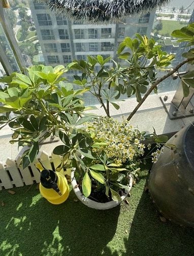 CHO THUÊ CĂN HỘ VINHOMES CENTRAL PARK – PARK 7