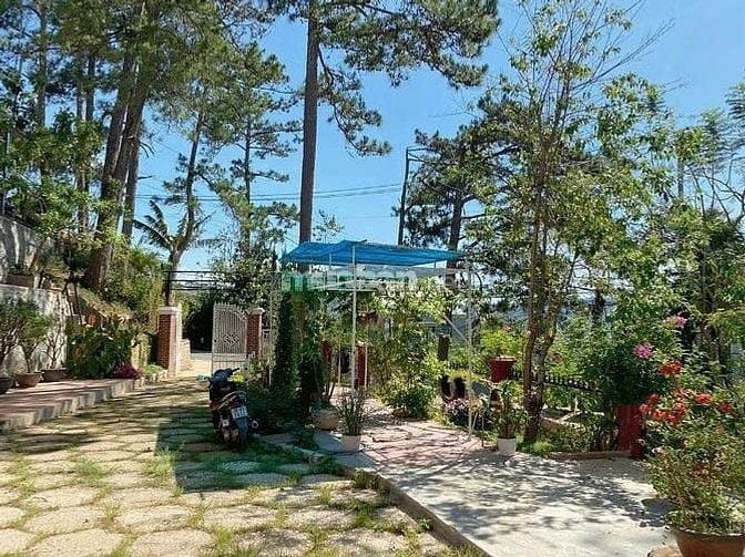 Nhà cho thuê đầu Khe Sanh, 5 phút đến Hồ Xuân Hương, DTKV 630m2