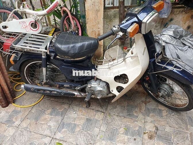 Honda Cub Custom 49cc Xanh đậm Thái Lan