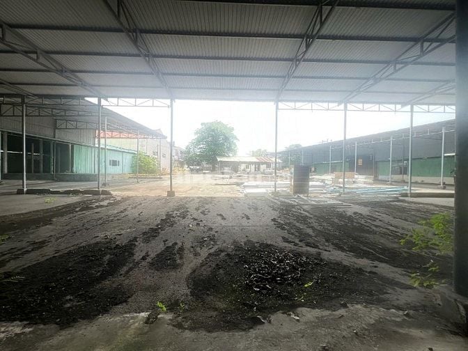 Chính Chủ Cho Thuê Kho Xưởng Đất tại Phường Thới Hoà, TP.Bến Cát