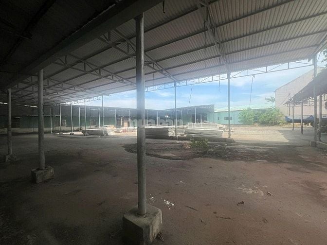 Chính Chủ Cho Thuê Kho Xưởng Đất tại Phường Thới Hoà, TP.Bến Cát