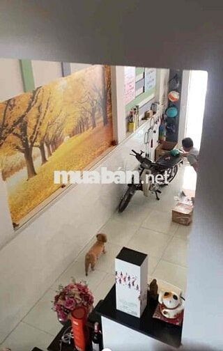 🌺Cần bán MT hẻm 50/ Nguyễn Quý Yêm - phường An lạc  💰