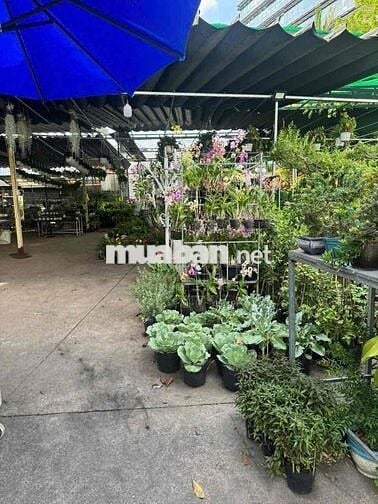 cho thuê mặt bằng mặt tiền Nguyễn Văn Linh 10x34 giá 34 tr