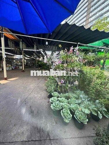cho thuê mặt bằng mặt tiền Nguyễn Văn Linh 10x34 giá 34 tr