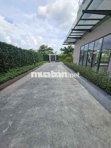 Bán shophouse 124m2 căn góc 2 mặt tiền Pegasuite 2 Tạ Quang Bửu P6 Q8 