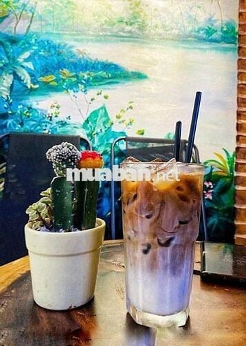 Lyon Coffee Tuyển Dụng Phục Vụ Pha Chế - Quận 11