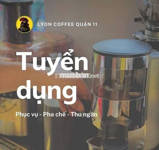 Lyon Coffee Tuyển Dụng Phục Vụ Pha Chế - Quận 11