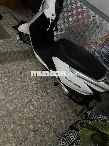 Honda Lead 110 Trắng
