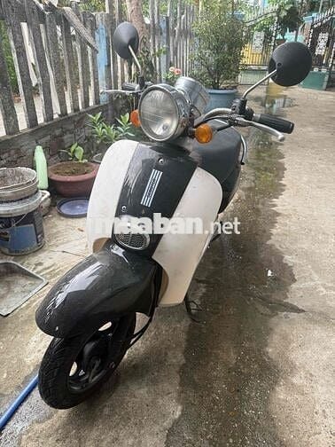Honda C50 Đen, Trắng