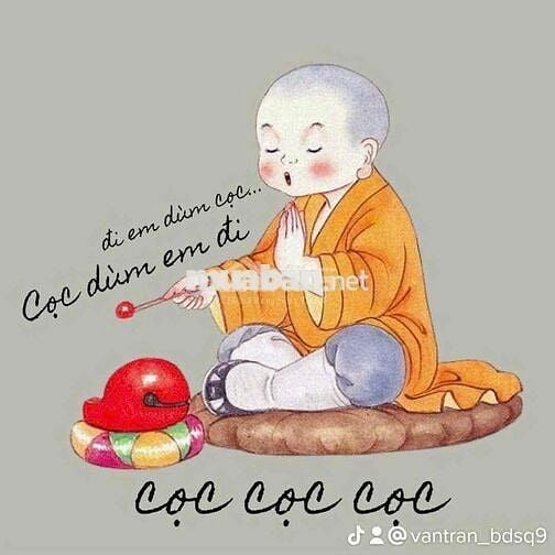 Cho thuê nhà mặt tiền nguyên căn