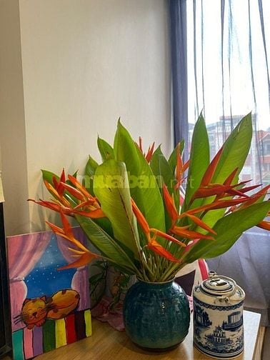 Studio full đồ 20m² – 2 phút ra Hồ Tây – chỉ 5 triệu/tháng