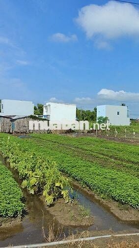 Đất mới nằm ngay ủy ban xã Mỹ Lộc giá 610 triệu/90m2 thổ cư đường 2,5m