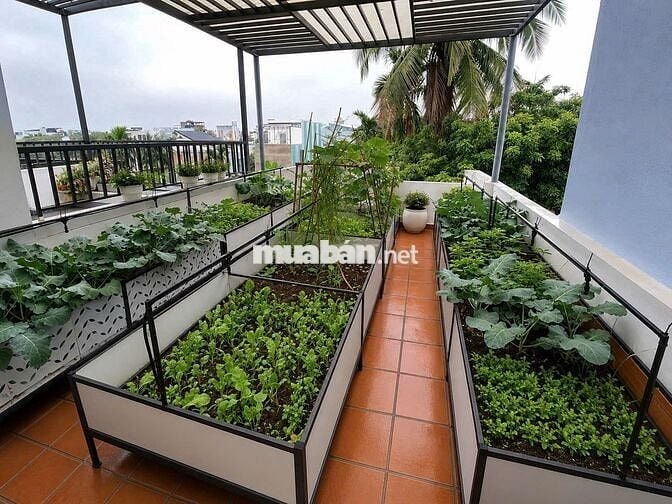 Nhà 2,5 Tầng Kiệt Ô Tô Tô Hiệu bên hông trường Tiểu học