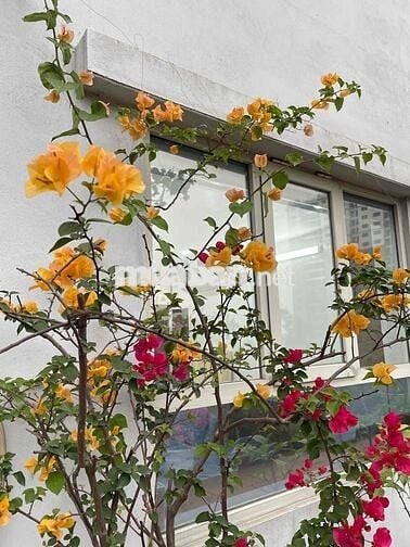 BÁN CHUNG CƯ 536A MINH KHAI – CÓ SÂN VƯỜN RIÊNG – NHÀ ĐẸP Ở NGAY