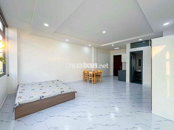 cho thuê căn hộ rộng 50m2 gần Phú Mỹ Hưng, SeCC, Cresent mall