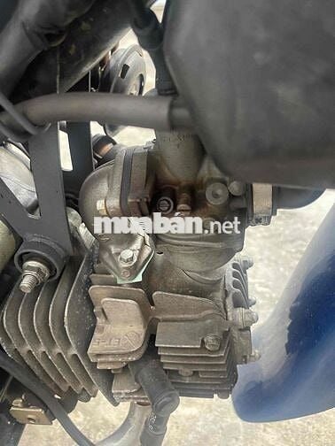 Honda Wave Anpha Xanh 56264 km