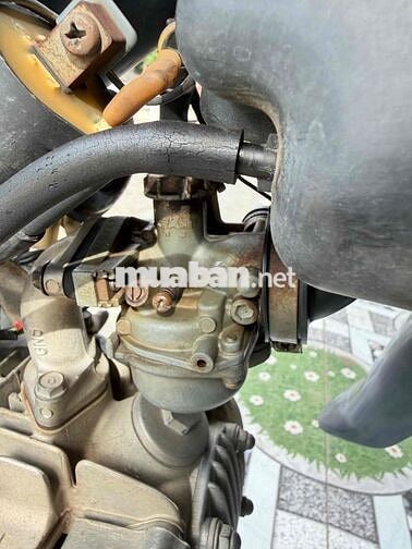 Honda Wave Alpha 2002 Xanh Zin