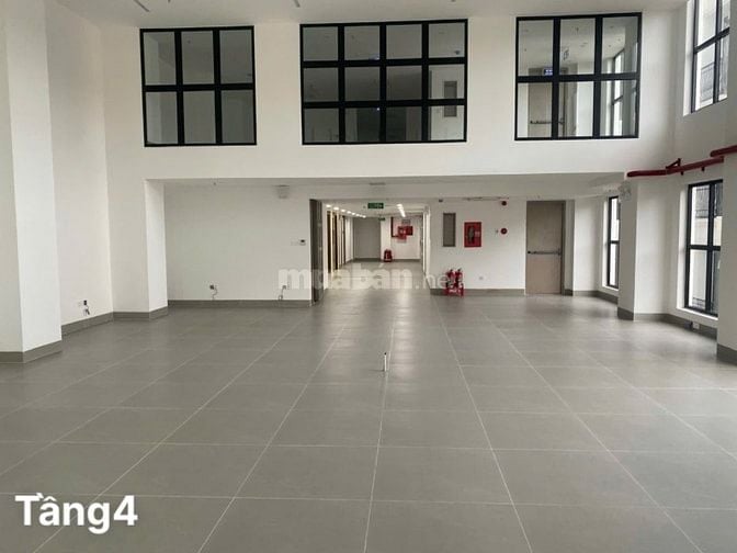 CHO THUÊ VĂN PHÒNG TẠI ĐƯỜNG THỐNG NHẤT – VỊ TRÍ ĐẮC ĐỊA, THÍCH HỢP MỌ
