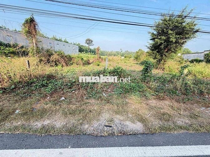Kẹt tiền bán gấp lô đất 300m2 ngay Tân Định,Bến Cát 680Triệu giá mềm