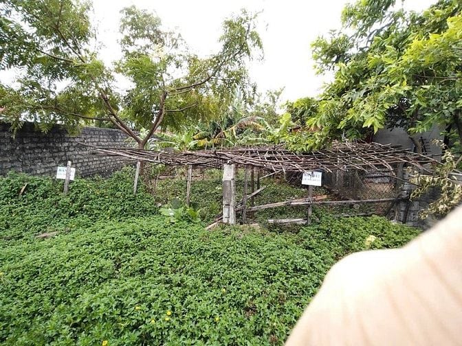 Bán gấp lô đất đẹp,FULL thổ cư,chỉ 5tr/m, thị xã Kỳ Anh, Hà Tĩnh