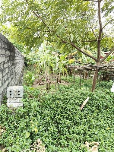 Bán gấp lô đất đẹp,FULL thổ cư,chỉ 5tr/m, thị xã Kỳ Anh, Hà Tĩnh