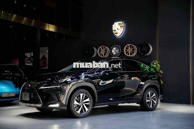 Lexus NX300 2021 Đen 45.000km