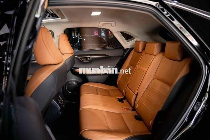 Lexus NX300 2021 Đen 45.000km