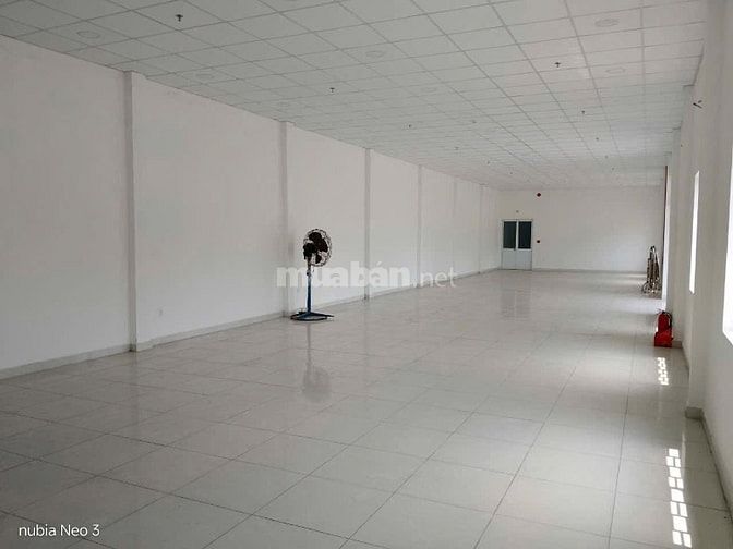 Nhà xưởng cho thuê khu công nghiệp Xuyên Á , Đức Hòa , Long An 