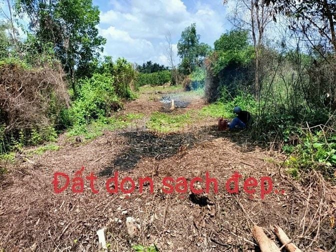 Chủ gửi bán gấp đất thổ cư 100% xã Bình Đức, Bến Lức, Long An