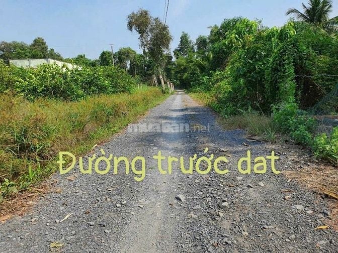 Chủ gửi bán gấp đất thổ cư 100% xã Bình Đức, Bến Lức, Long An