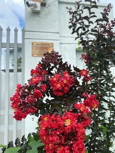Cần bán nhà làm công ty kiêm kho hàng. Dt đất 385m2. dt sử dụng 550m2