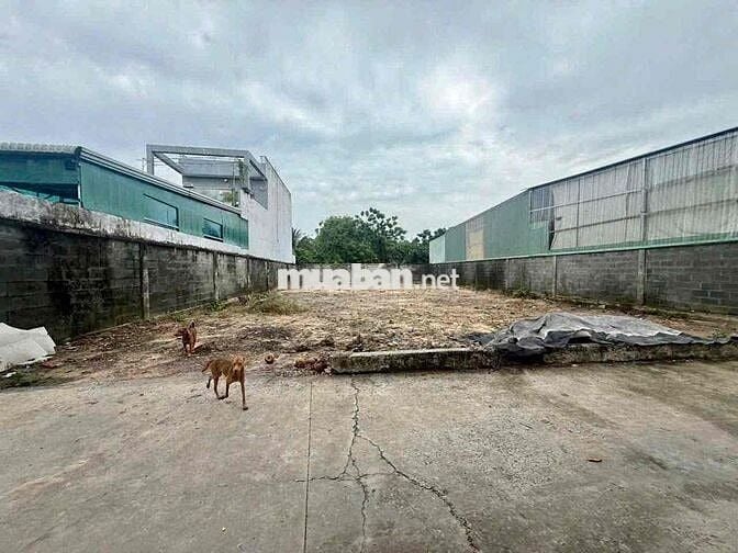 Đất bán DT 5x30m thổ cư công nhận 140m - Tân Hiệp 16