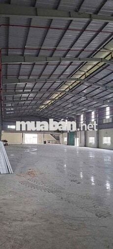 Cho thuê xưởng sản xuất 2.900m2 Trần Văn Giàu Bình Tân giá chỉ 210 tr