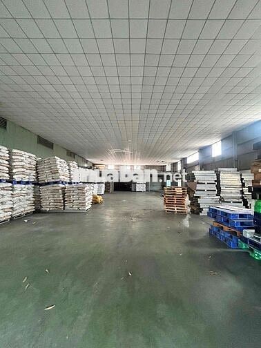 CHO THUÊ KHO 1.000M² – 1.750M² ĐƯỜNG TÂY LÂN, BÌNH TÂN