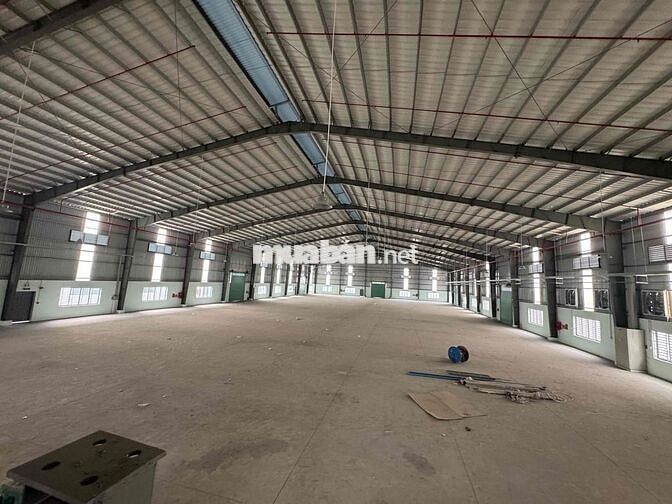 CHÍNH CHỦ CHO THUÊ NHÀ XƯỞNG 5.000M² – TRẦN VĂN GIÀU, BÌNH TÂN, TP.HCM
