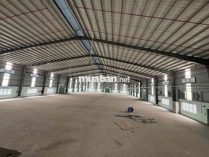 CHÍNH CHỦ CHO THUÊ NHÀ XƯỞNG 5.000M² – TRẦN VĂN GIÀU, BÌNH TÂN, TP.HCM