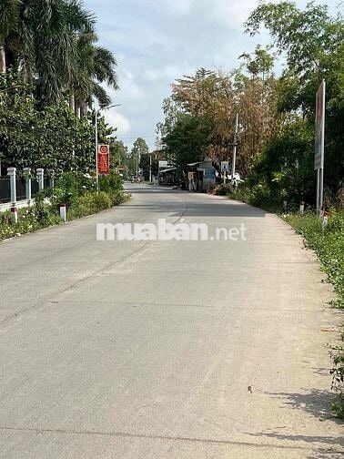 Bán 4000m2 đất trồng lúa- xã An Thạnh Trung