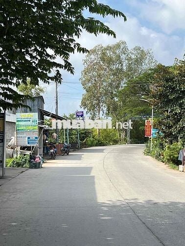 Bán 4000m2 đất trồng lúa- xã An Thạnh Trung