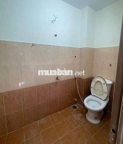 Nhà nguyên căn 129// Đường Số 2, P16, GV, 4x17, Gần chợ Xóm Mới