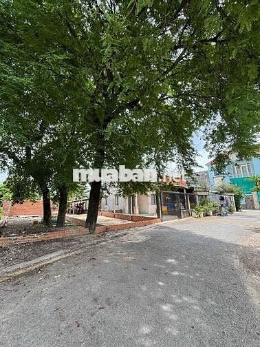 Tôi chủ cần bán gấp lô đất mặt tiền nhựa Thị Trấn Hóc Môn