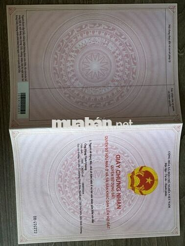 Chính chủ bán đất thành phố Hồ Chí Minh (Thủ Dầu Một)
